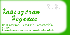 kapisztran hegedus business card